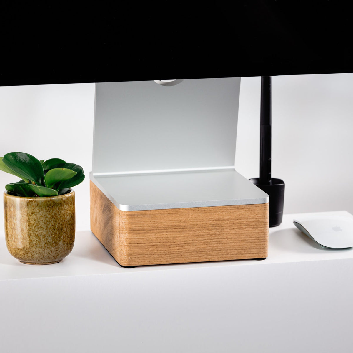 Modern desk setup with a plant, wooden riser, and computer monitor.